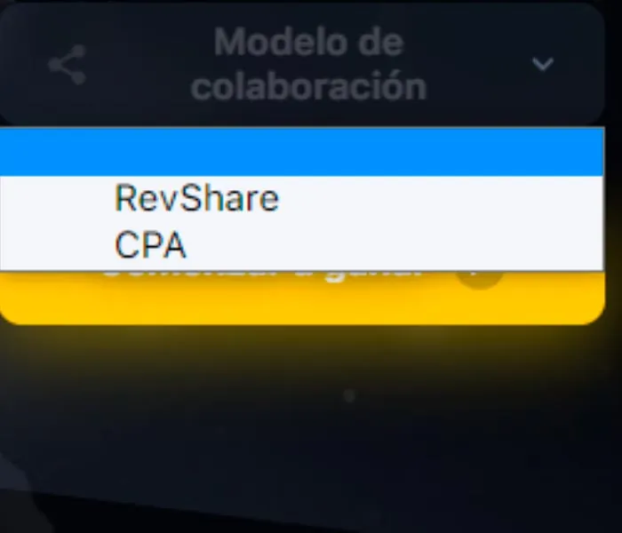 registrarse en el programa de afiliados paso 3